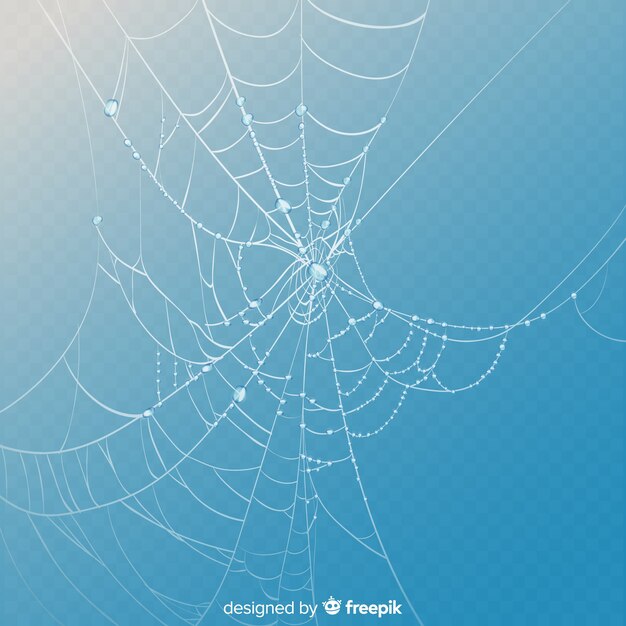 Realistic cobweb on blue sky background