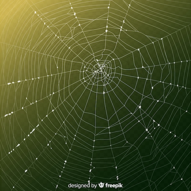 Free vector realistic cobweb with gradient green background