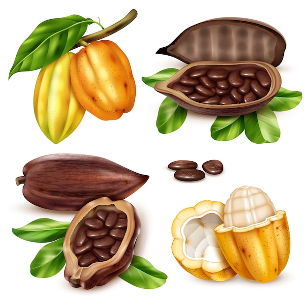 Реалистичный набор иконок какао