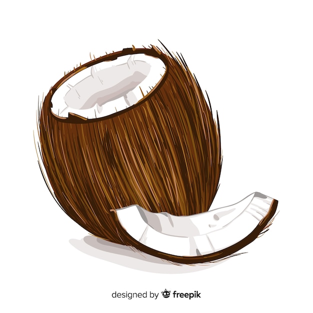 Realistic coconut background