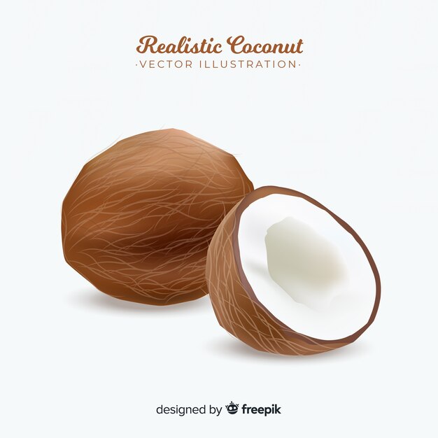 현실적인 코코넛 배경