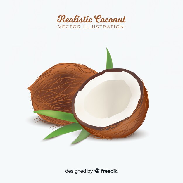 Реалистичная кокосовая иллюстрация