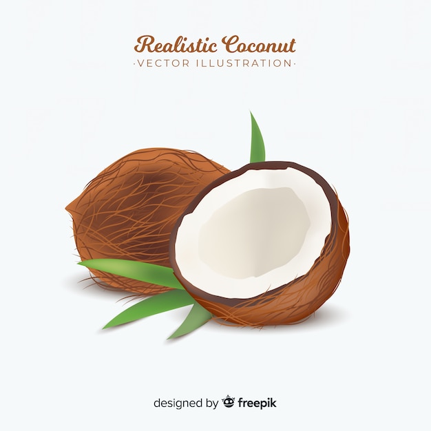 현실적인 코코넛 일러스트