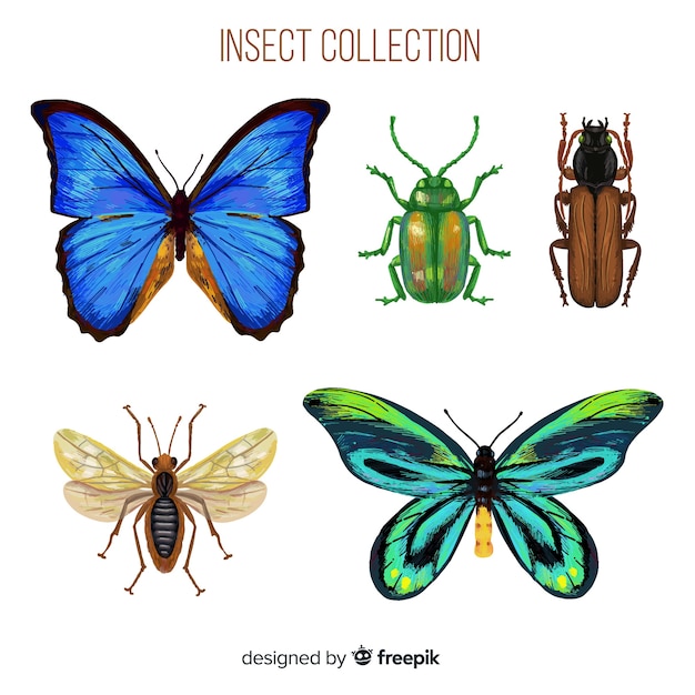 Реалистичная красочная коллекция жуков