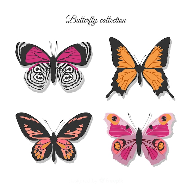 Realistic colorful butterfly collection