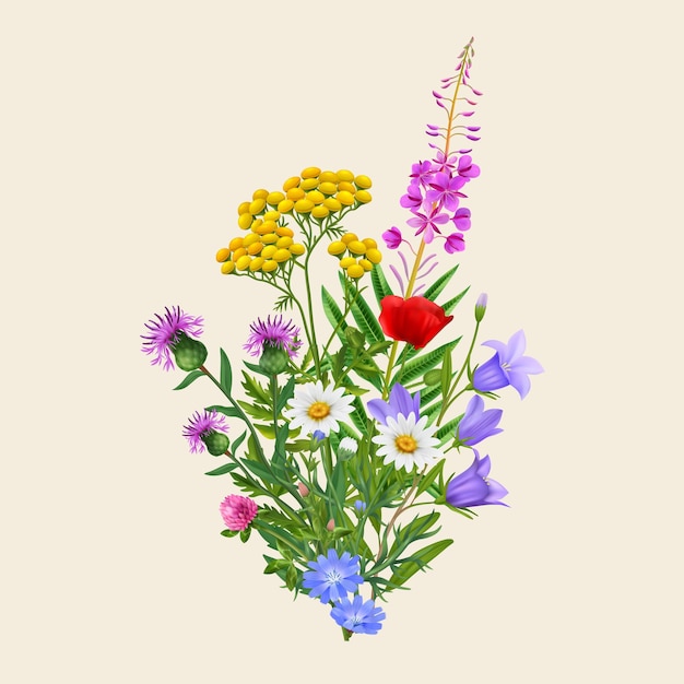 Mazzo di fiori selvatici colorato realistico su sfondo seppia illustrazione vettoriale