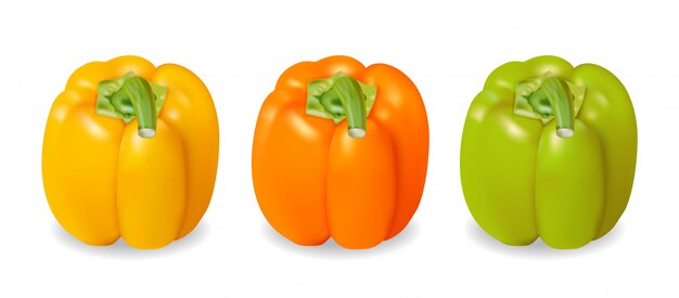 Realistic and colorful yellow, orange and green pepper