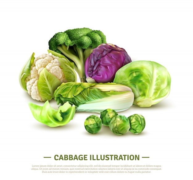Realistic composition with white cabbage and scotch kale heads chinese leaves brussels sprouts broccoli and cauliflower