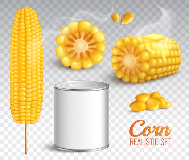 Реалистичная кукуруза прозрачный набор Бесплатные векторы