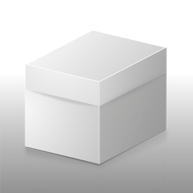 현실적인 큐브 상자 모형