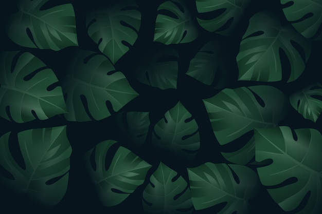 無料ベクター 現実的な暗い熱帯の葉の壁紙