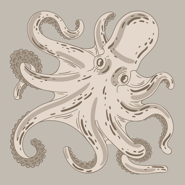 Free vector realistic design hand drawn octopus