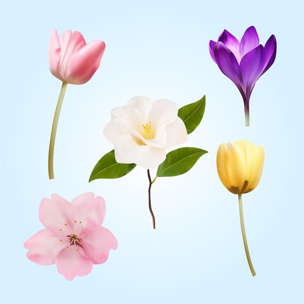 Realistic detailed spring flower collection