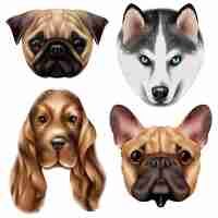 Free vector realistic dog breed  set