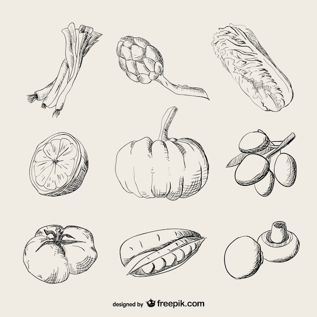 Realistic drawing vegetables