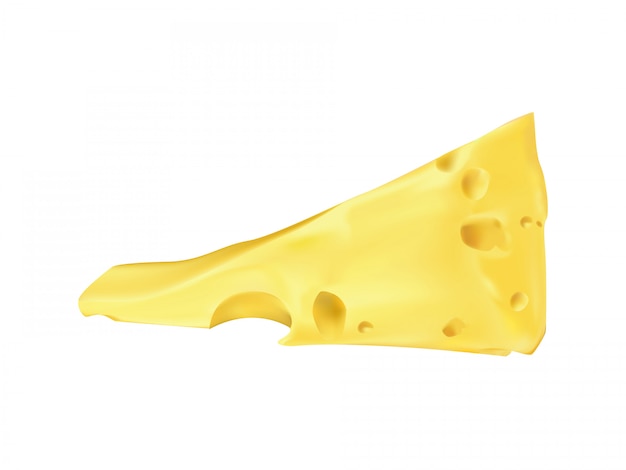 realistic emmental cheese wedge. Swiss, italian dairy fresh organic product
