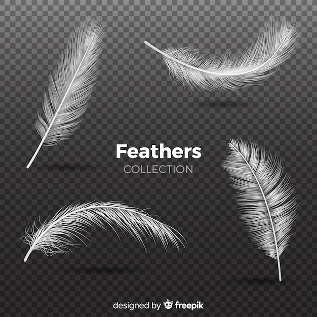 Realistic feather collection