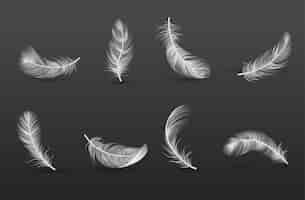 Free vector realistic feather icon set with in different positions and from different sides vector illustration