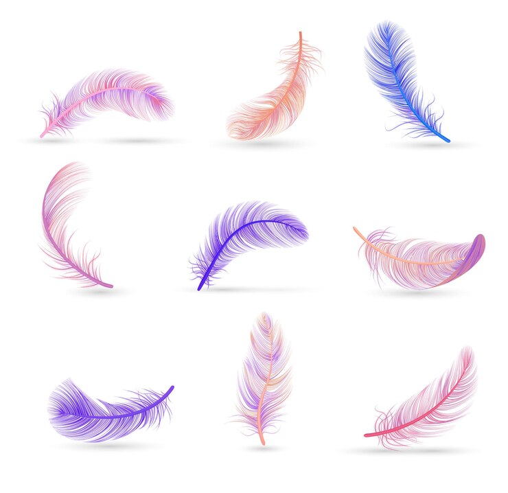 Free Vector realistic feather set with soft violet and pink isolated feathers