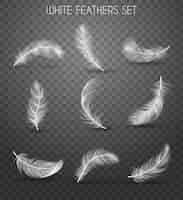 Бесплатное векторное изображение Реалистичный прозрачный набор с перьями с белыми перьями, набор заголовков, мягкий и легкий концептуальный рисунок