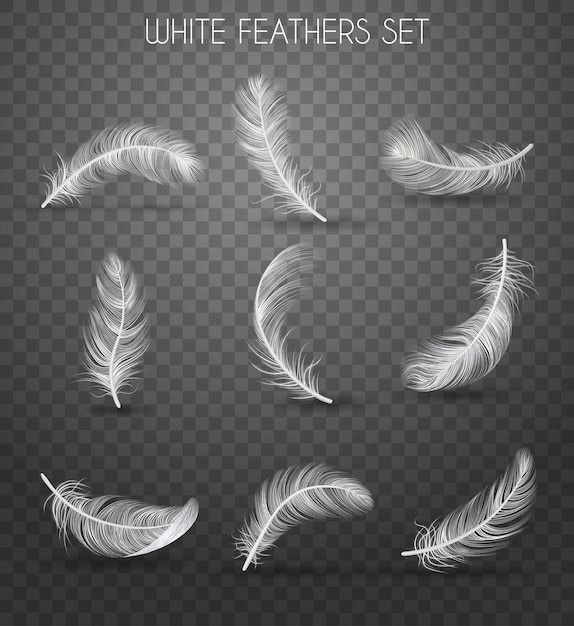 Free vector realistic feather transparent set with white feathers set headline soft and light concept  illustration