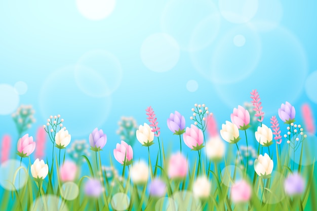 Spring Flower Blue Sky Light Effect Creative Background, Desktop Wallpaper,  Spring, Flowers Background Image And Wallpaper for Free Download