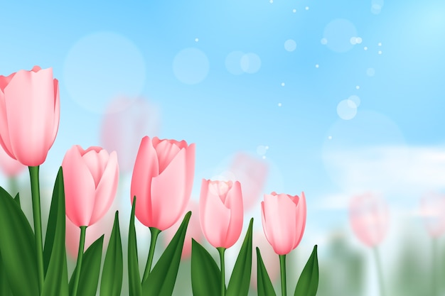 Realistic floral spring background