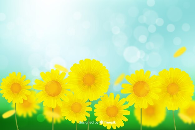 Realistic flowers background concept