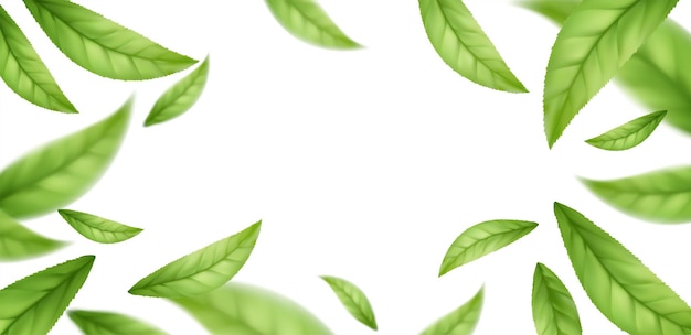 Реалистичные летающие падающие листья зеленого чая, изолированные на белом фоне. Фон с летающими зелеными весенними листьями. Векторная иллюстрация