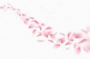 無料ベクター 現実的な飛行桜の花びらの図