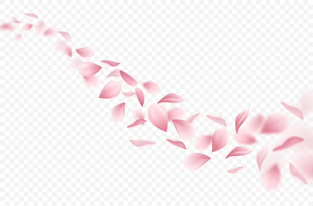 Realistic flying sakura petals illustration
