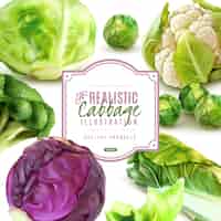 Free vector realistic frame with different kinds of fresh cabbage on white