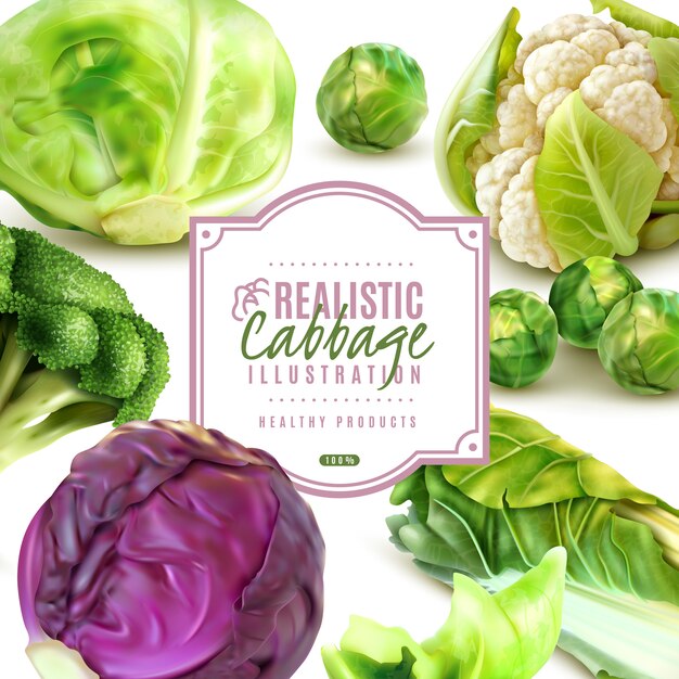 Realistic frame with different kinds of fresh cabbage on white