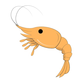 Realistic fresh shrimp on white background - vector illustration