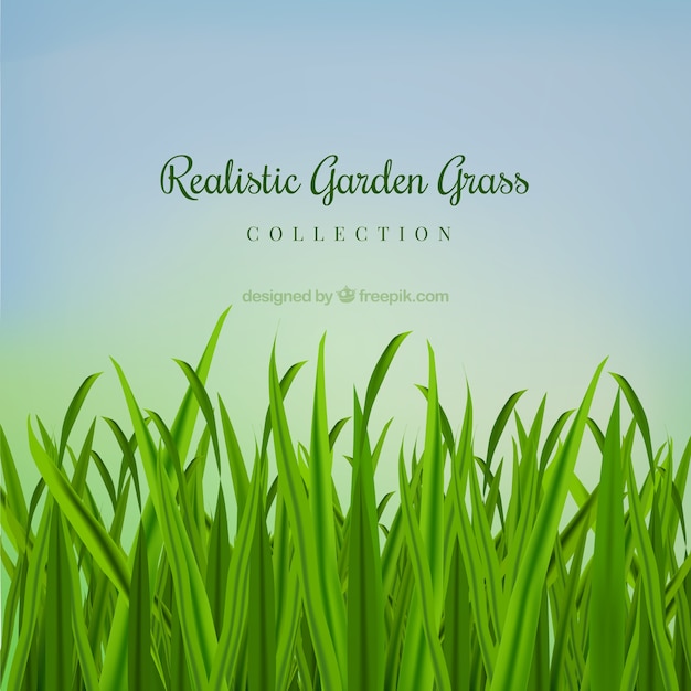 Realistic garden grass 