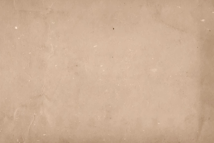 Free Vector realistic grain paper texture