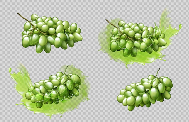 Realistic grapes bunches and splashes set