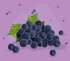 Free vector realistic grapes card over purple