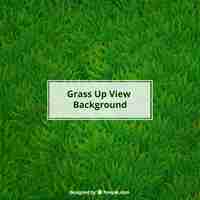 Free vector realistic grass background