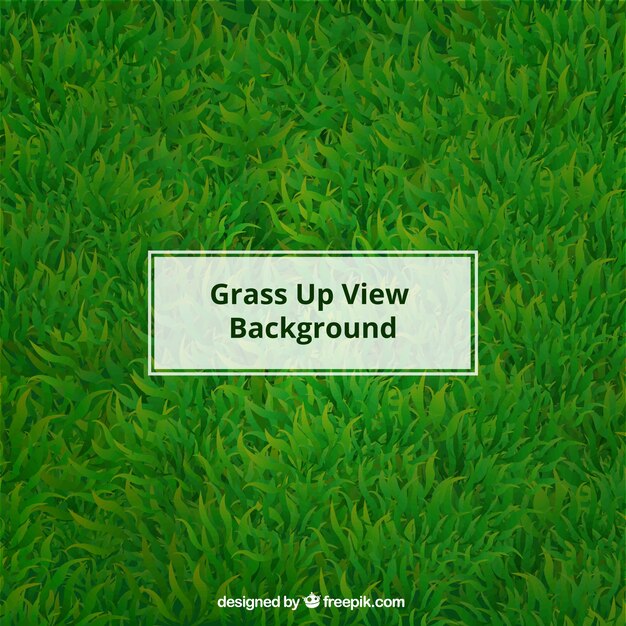 Realistic grass background