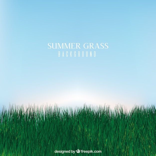 Realistic grass background