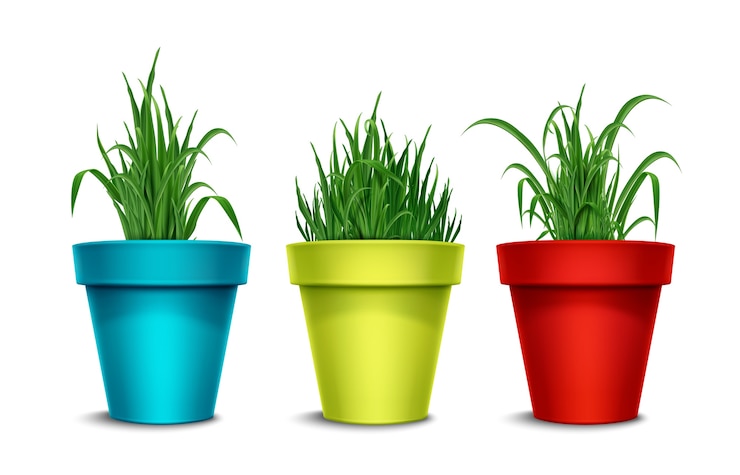 Free Vector realistic grass illustration