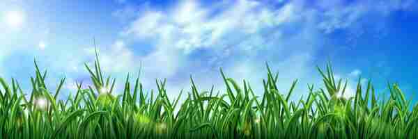 Free vector realistic green grass under blue sky