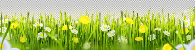 Free vector realistic green grass border with flowers