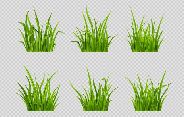 Free vector realistic green grass patches png on transparent