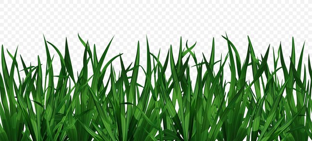リアルな緑の草