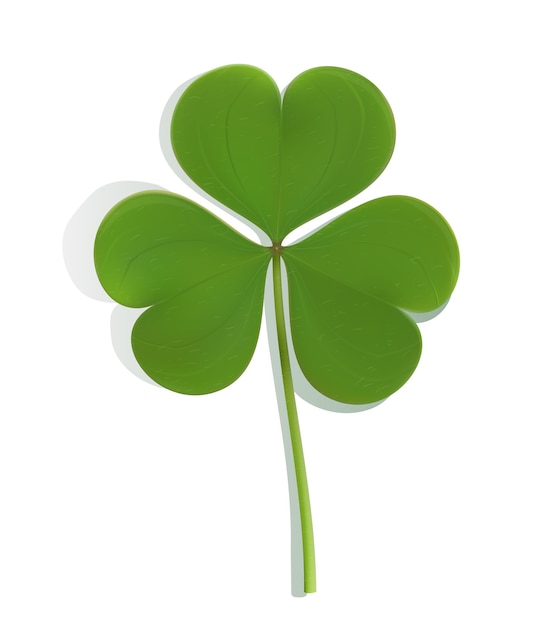 Realistic green leaf clover on white