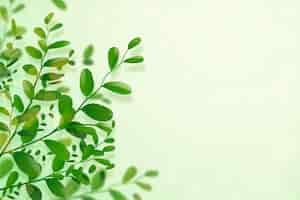 Free vector realistic green leaves background