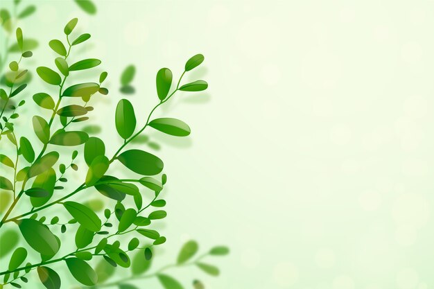 Realistic green leaves background