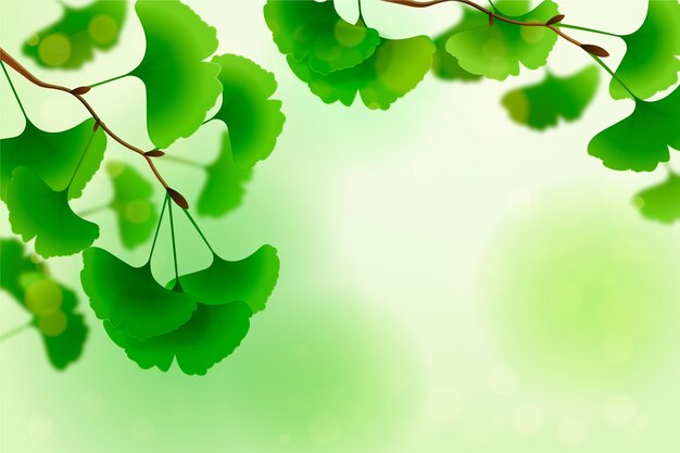 Realistic green leaves background